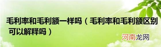 毛利率和毛利额区别可以解释吗 毛利率和毛利额一样吗