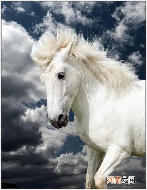 三国时期的五虎将是哪几位 蜀国五虎将是哪五个