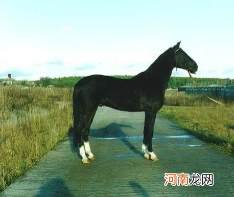 三国时期的五虎将是哪几位 蜀国五虎将是哪五个