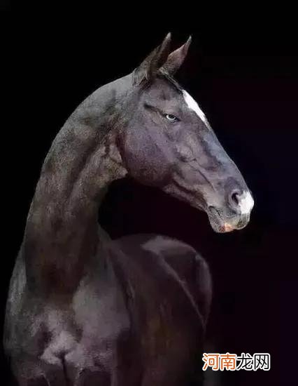 三国时期的五虎将是哪几位 蜀国五虎将是哪五个