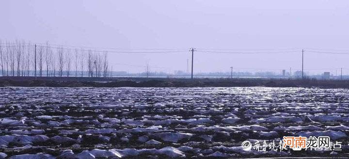 蚯蚓吃什么长得最快 蚯蚓吃什么食物