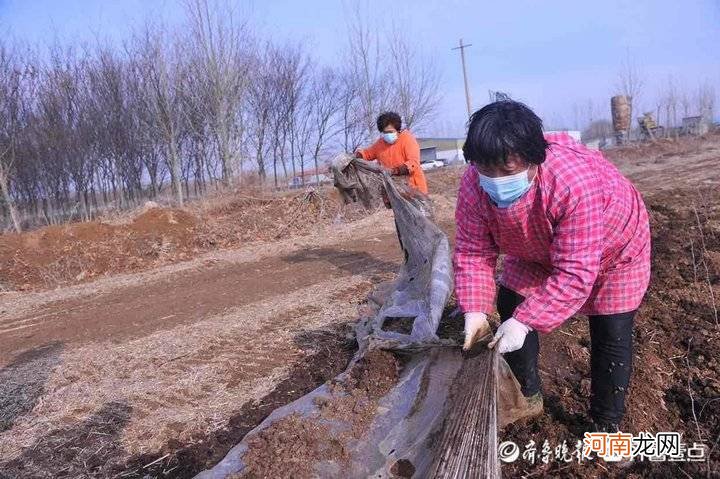 蚯蚓吃什么长得最快 蚯蚓吃什么食物