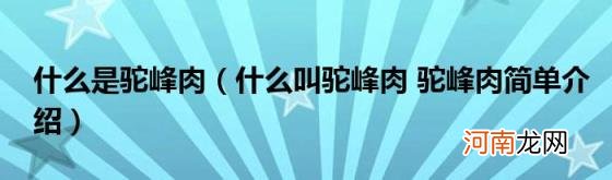 什么叫驼峰肉驼峰肉简单介绍 什么是驼峰肉