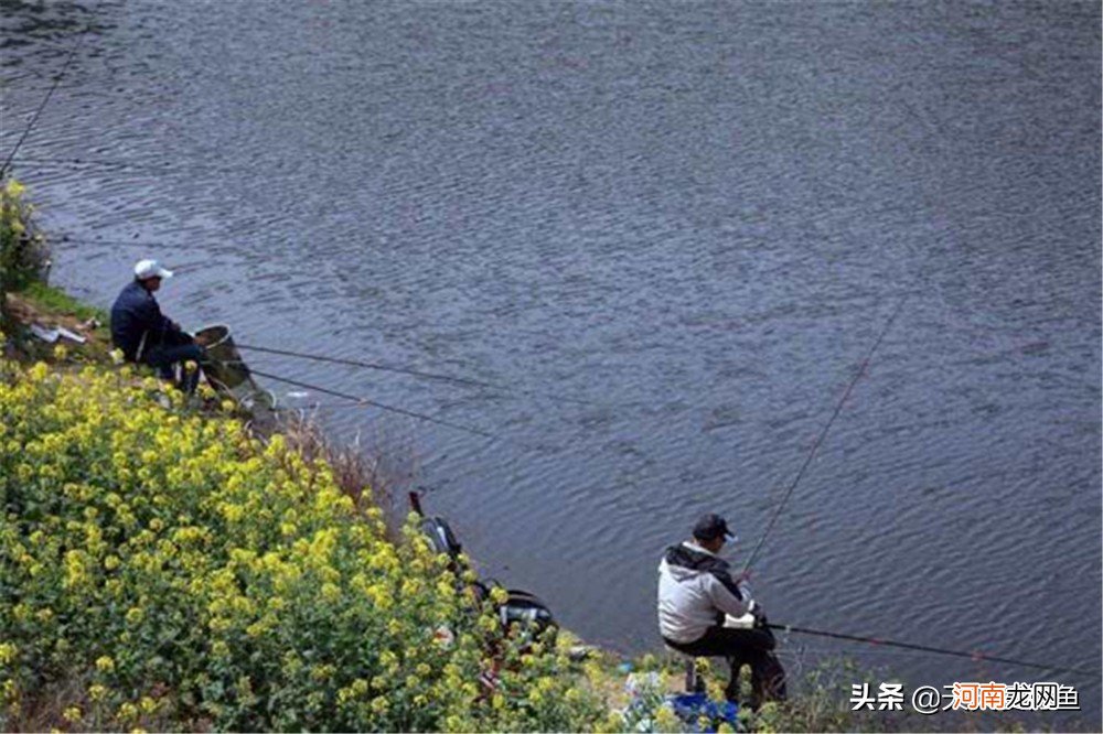 春季天冷钓鱼钓深还是浅 春天钓鱼钓深水还是浅水