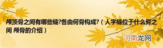 人字缝位于什么骨之间颅骨的介绍 颅顶骨之间有哪些缝?各由何骨构成?