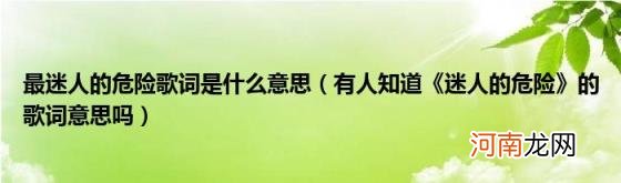 有人知道《迷人的危险》的歌词意思吗 最迷人的危险歌词是什么意思