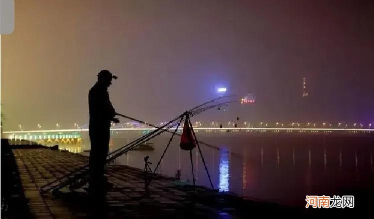 天气冷夜晚钓鱼深水还是浅水好 夜钓深水还是浅水