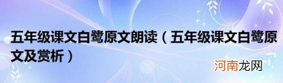 五年级课文白鹭原文及赏析 五年级课文白鹭原文朗读