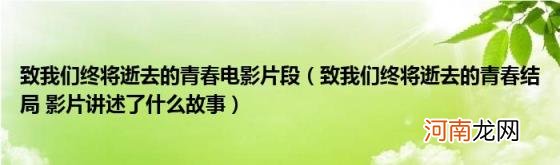 致我们终将逝去的青春结局影片讲述了什么故事 致我们终将逝去的青春电影片段