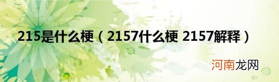 2157什么梗2157解释 215是什么梗