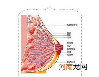 青春期女儿身心变化大，尤其是这些方面，家长要多多注意