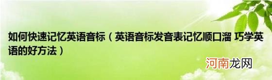 英语音标发音表记忆顺口溜巧学英语的好方法 如何快速记忆英语音标