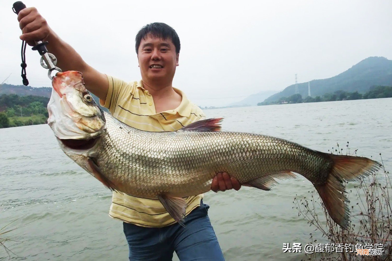 翘嘴鱼喜欢吃什么鱼食 翘嘴鱼吃什么食物