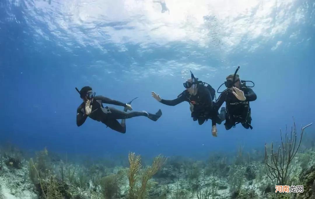 自由潜是有多鄙视水肺潜水 水肺潜水和自由潜水的区别
