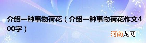 介绍一种事物荷花作文400字 介绍一种事物荷花