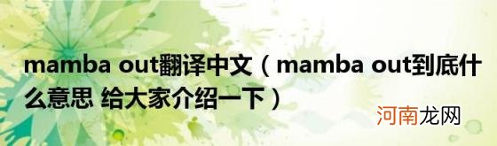 mambaout到底什么意思给大家介绍一下 mambaout翻译中文