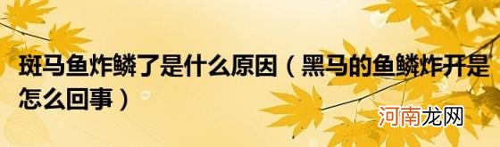 黑马的鱼鳞炸开是怎么回事 斑马鱼炸鳞了是什么原因