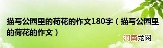 描写公园里的荷花的作文 描写公园里的荷花的作文180字