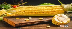 玉米是什么季节的产物