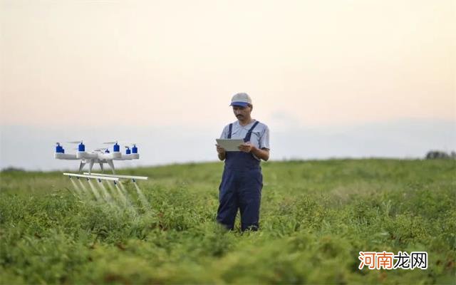 现在到底做什么能赚钱，现在生意难做工作难找怎么办？