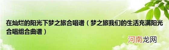 梦之旅我们的生活充满阳光合唱组合曲谱 在灿烂的阳光下梦之旅合唱谱