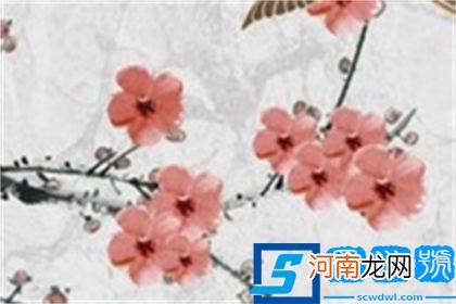 2023年2月属狗的最佳乔迁吉祥日