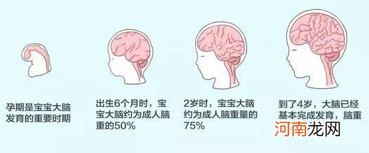 俗话都说怀胎十月，但其实为了进化，我们人类都是“早产儿”