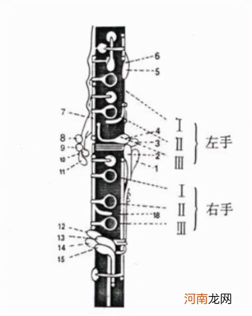 单簧管属于什么乐器，3步学会总指法和简单指法技巧？