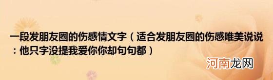 适合发朋友圈的伤感唯美说说：他只字没提我爱你你却句句都 一段发朋友圈的伤感情文字