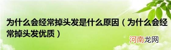 为什么会经常掉头发优质 为什么会经常掉头发是什么原因