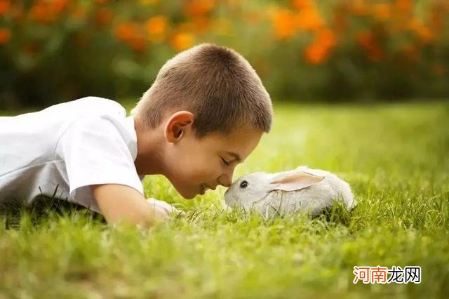 娃反应快就是智力高吗？心理学家给出几点建议，养育高智力孩子