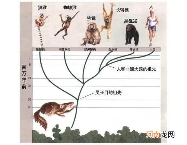 为什么孩子在看书、学习、写作业时，一会就打哈欠，想睡觉？