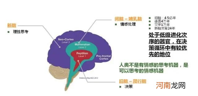 为什么孩子在看书、学习、写作业时，一会就打哈欠，想睡觉？