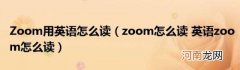 zoom怎么读英语zoom怎么读 Zoom用英语怎么读