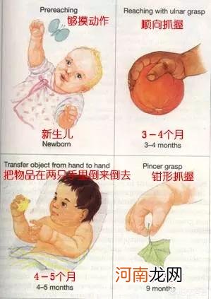 宝宝6个月以后吃什么辅食 4个月的婴儿可以吃什么辅食