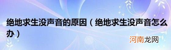 绝地求生没声音怎么办 绝地求生没声音的原因