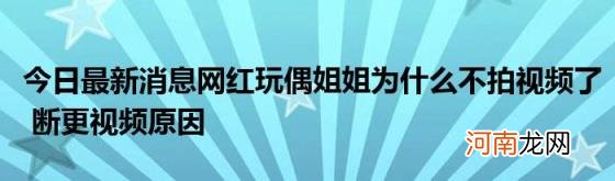 今日最新消息网红玩偶姐姐为什么不拍视频了断更视频原因