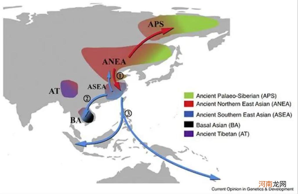 第一个成为人类的人是谁 中国第一个人类是谁生的