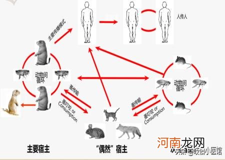 限籍令梦华录不让播？难道学巩俐退美籍了？