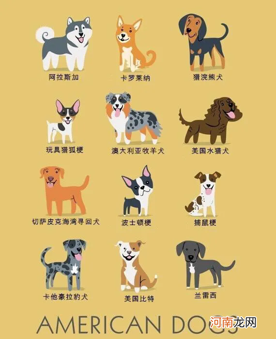 世界名犬图片大全排行 世界名犬品种大全