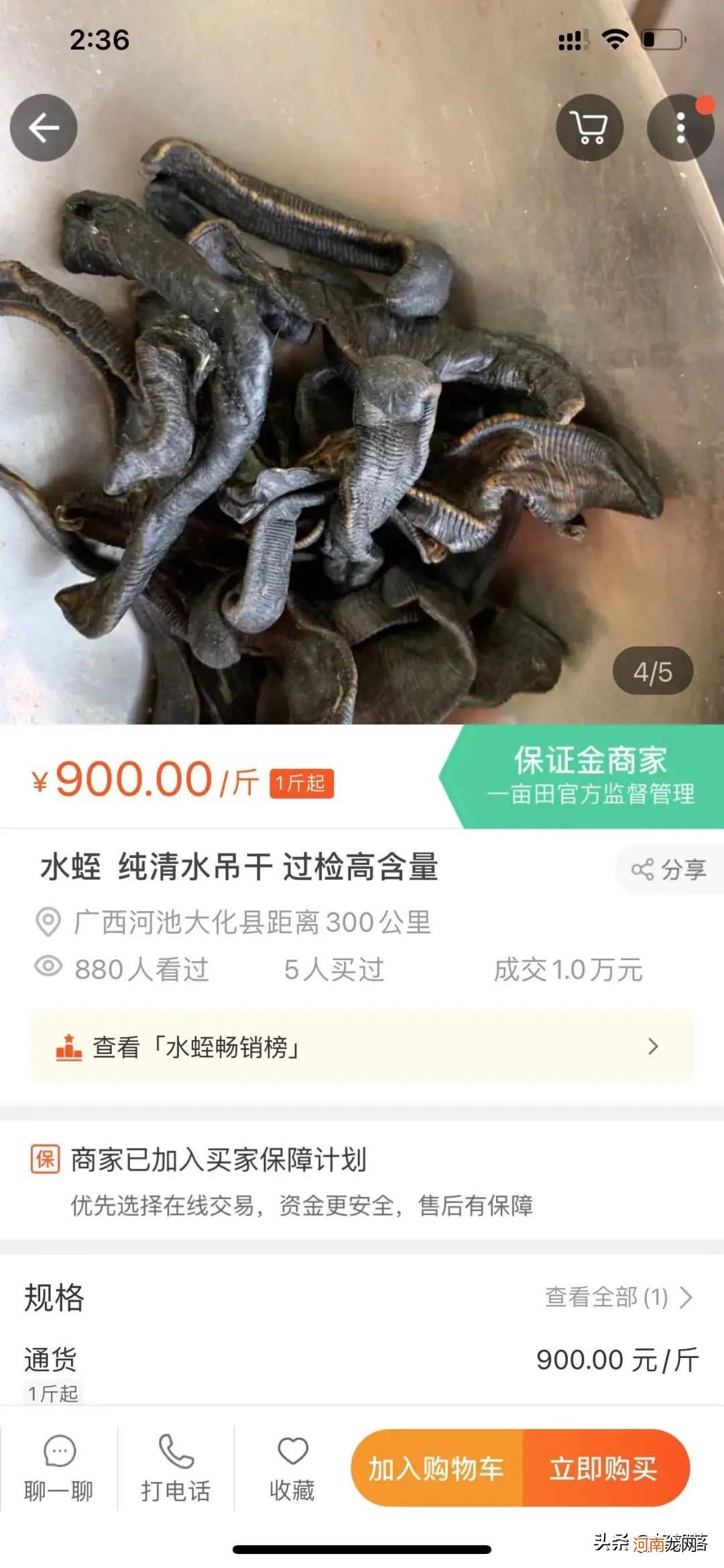 蚂蟥的收购价是多少钱 蚂蝗价格多少钱一斤