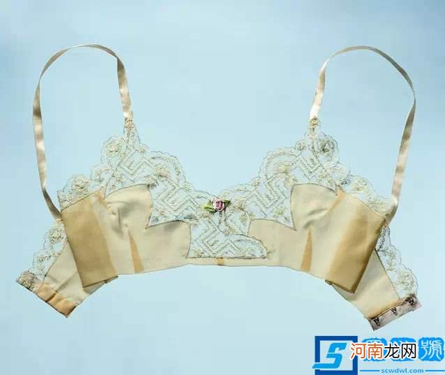 用历史的眼光看Bra bra是啥意思呀