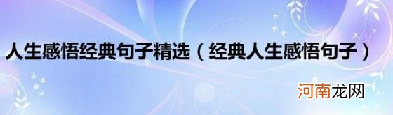 经典人生感悟句子 人生感悟经典句子精选