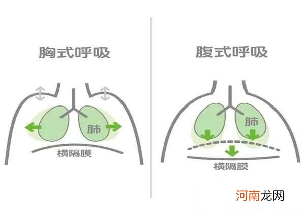 正确的呼吸是用什么呼吸 呼气吸气正确方法