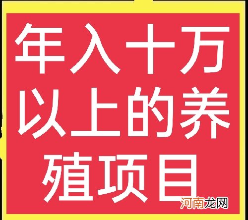 农村创业致富小项目养殖推荐 创业养殖致富项目