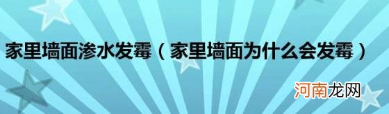 家里墙面为什么会发霉 家里墙面渗水发霉