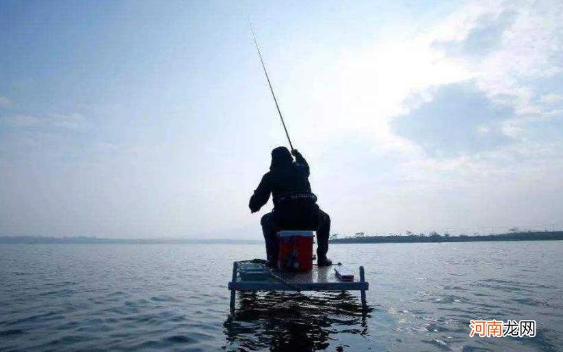 十大名贵淡水鱼排名 10大名贵淡水鱼