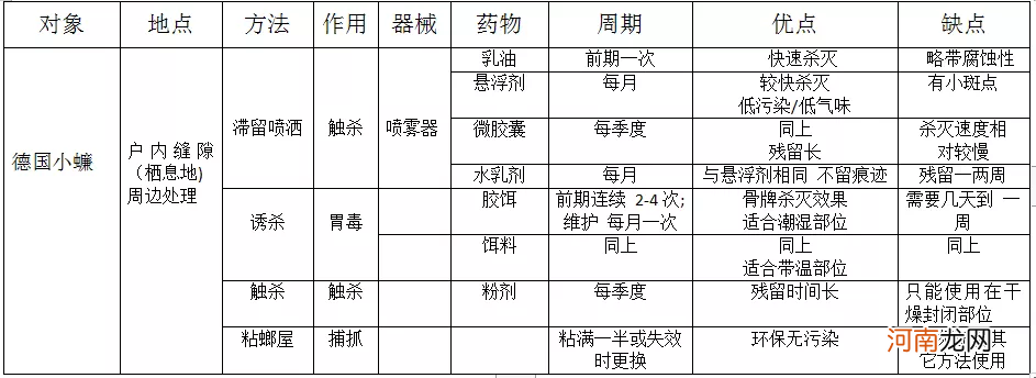 蟑螂消灭彻底的办法是啥 德国小蟑螂怎么消灭最彻底