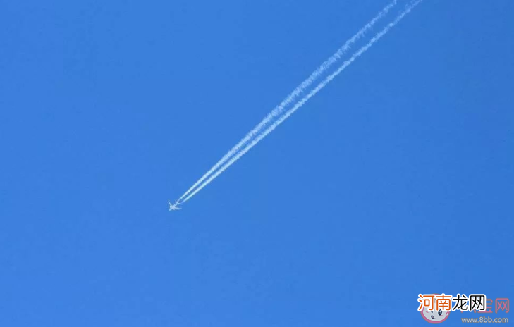 飞机|飞机飞过天空留下的一道白烟是什么 蚂蚁庄园9月17日答案解析