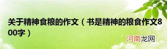 书是精神的粮食作文800字 关于精神食粮的作文